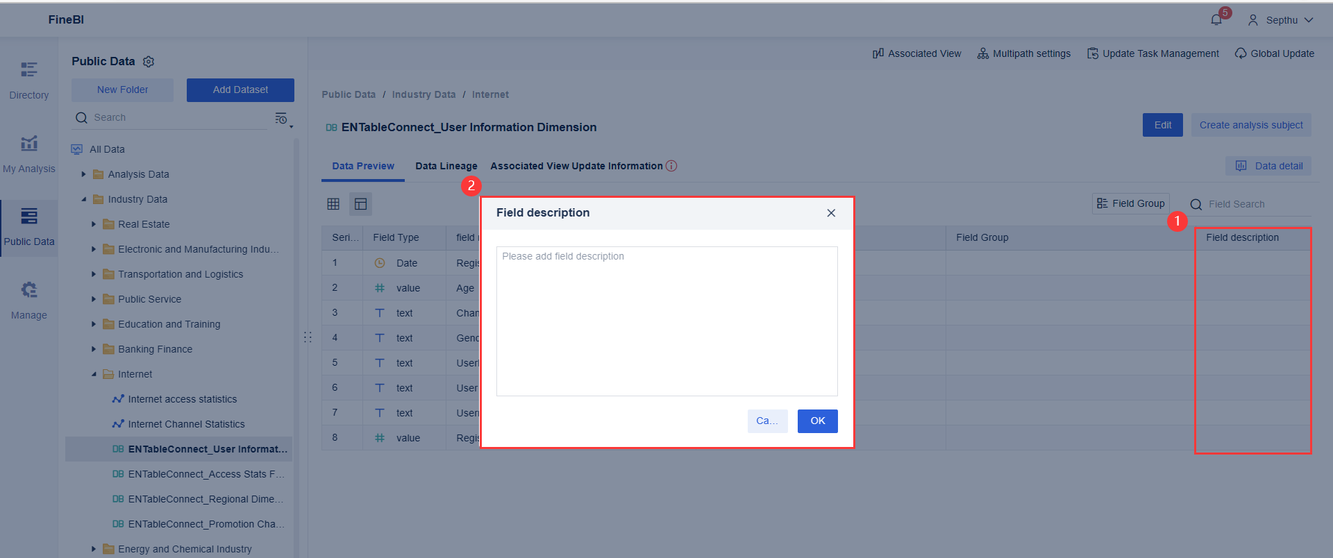 Data Preview- FineBI Help Document 7.0