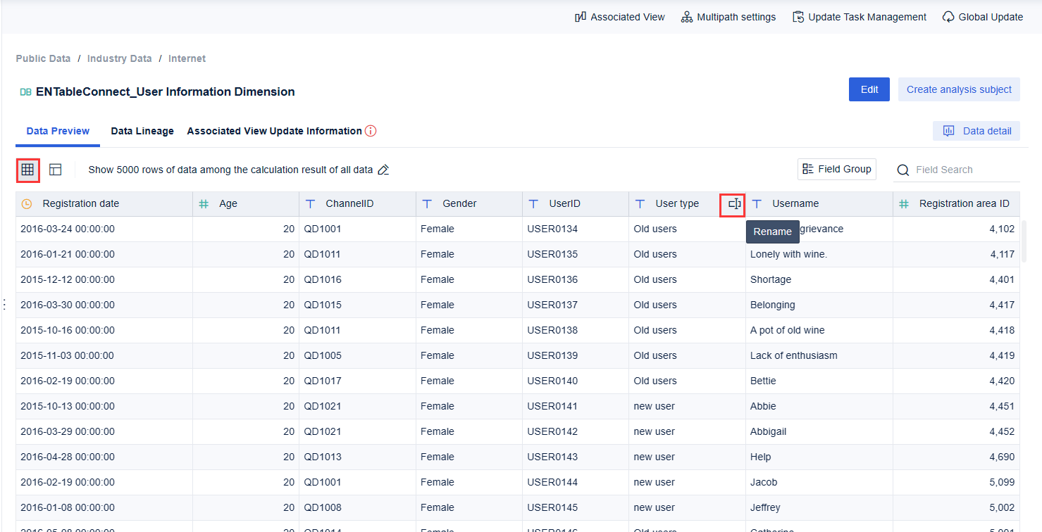 Data Preview- FineBI Help Document 7.0