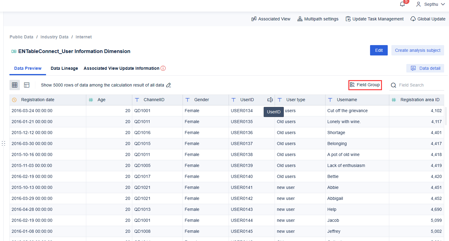 Data Preview- FineBI Help Document 7.0