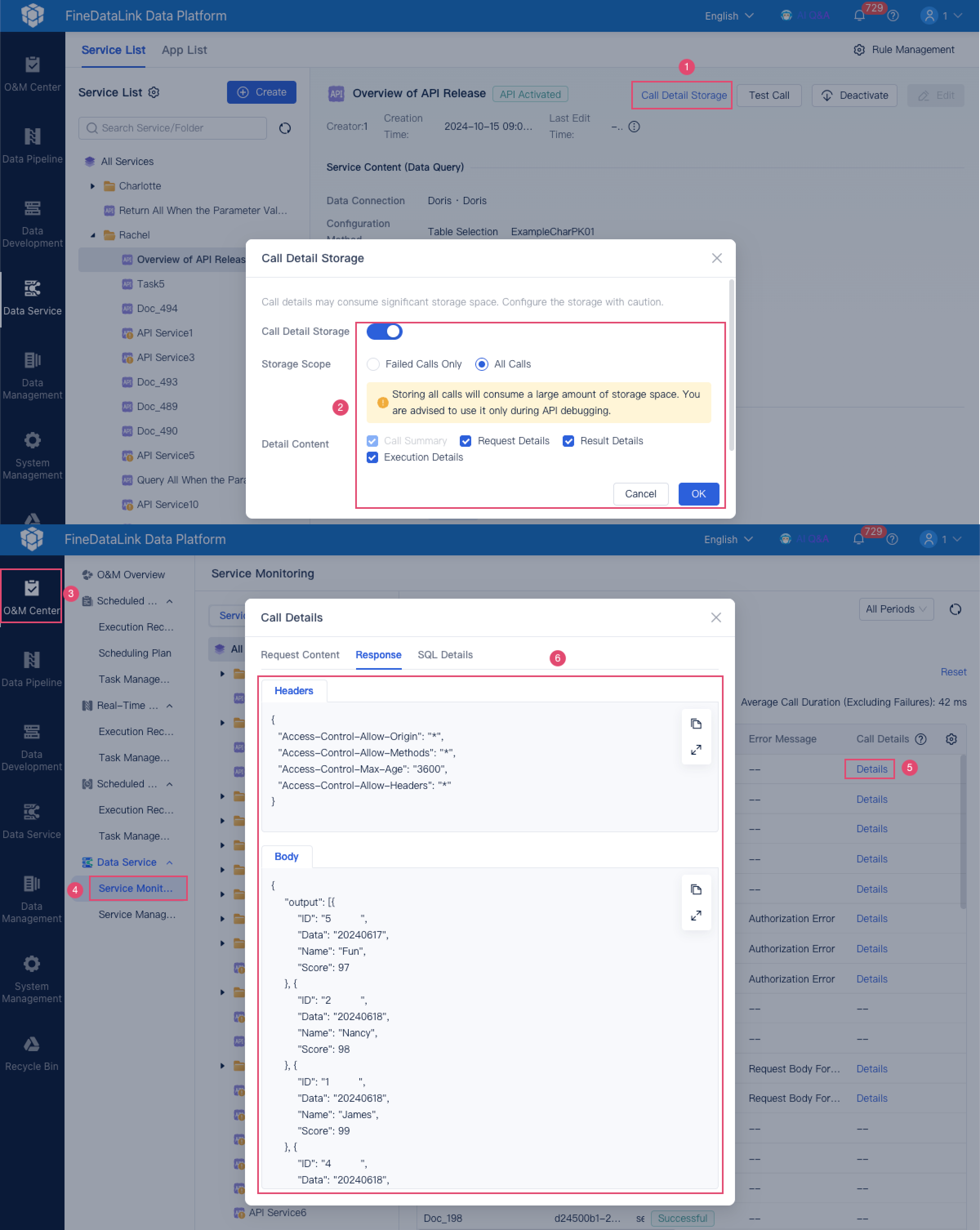 Displaying Data Service API Call Details- FineDataLink Help Document