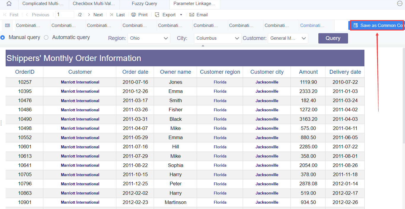 Common Parameter Combination for Templates-FineReport Help Document