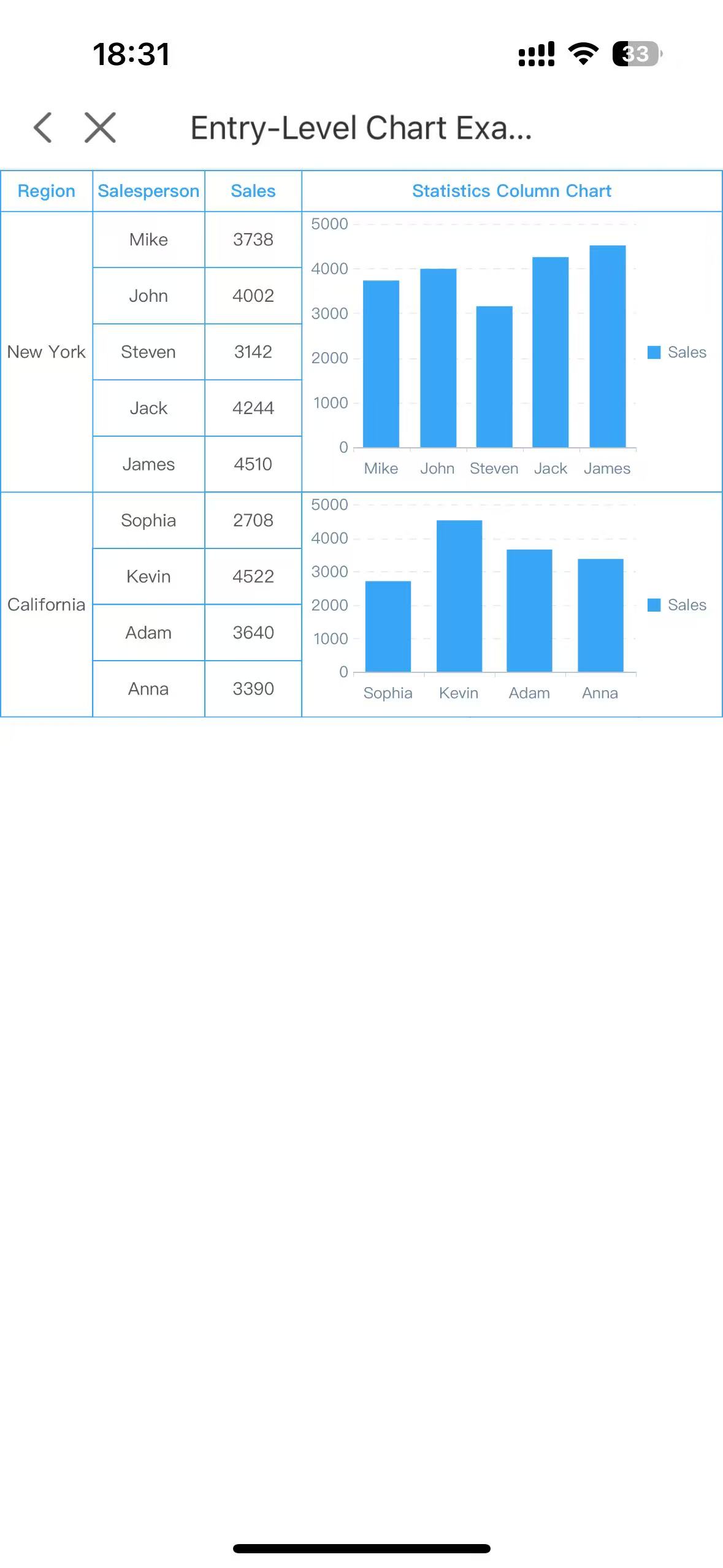 Entry-Level Chart Example-FineReport Help Document