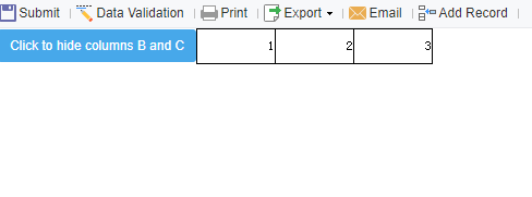 JS Hide Columns or Rows by Clicking a Button-FineReport Help Document