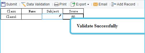 Custom function to achieve table verification-FineReport Help Document