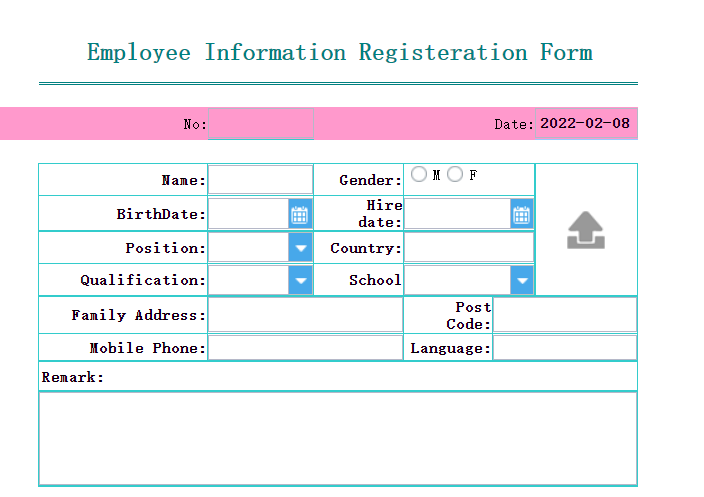 Data Entry Preview (op=write)-FineReport Help Document