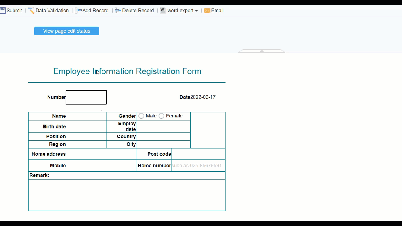 API Only for Data Entry Preview-FineReport Help Document